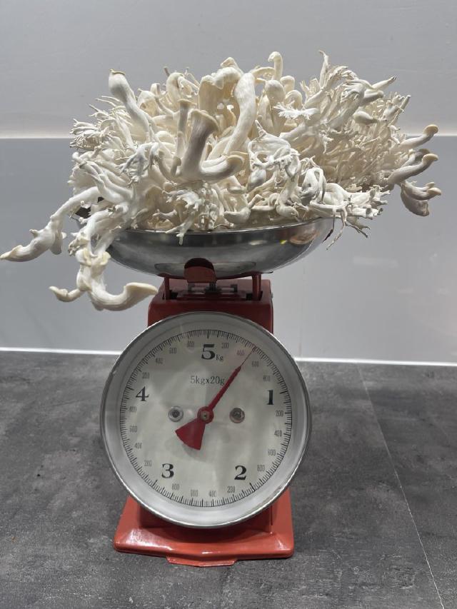 Image 30 Image 30